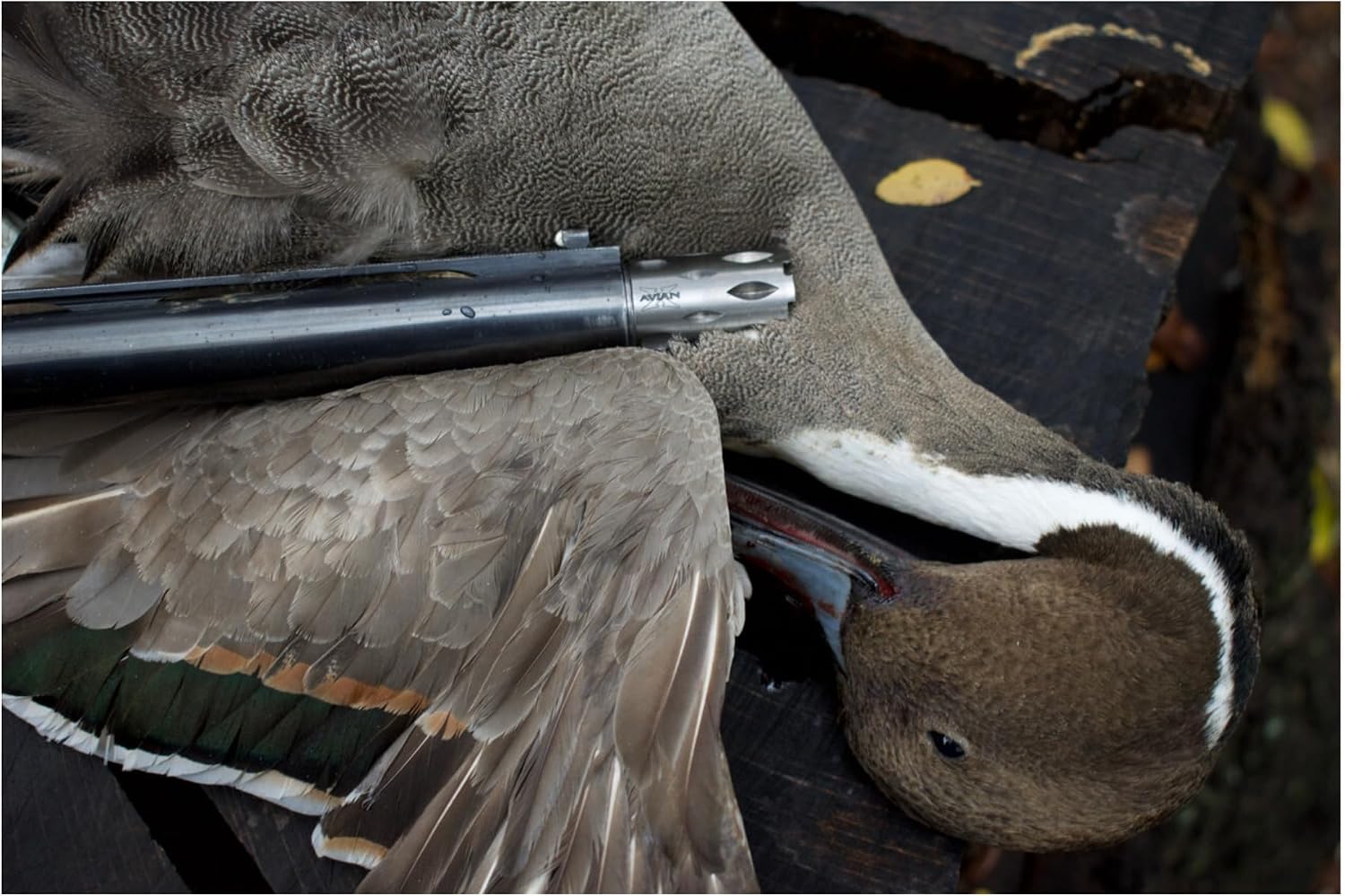 Avian-X 12 Guage Waterfowl Crusher Chokes Tubes with Wide Groove Technology