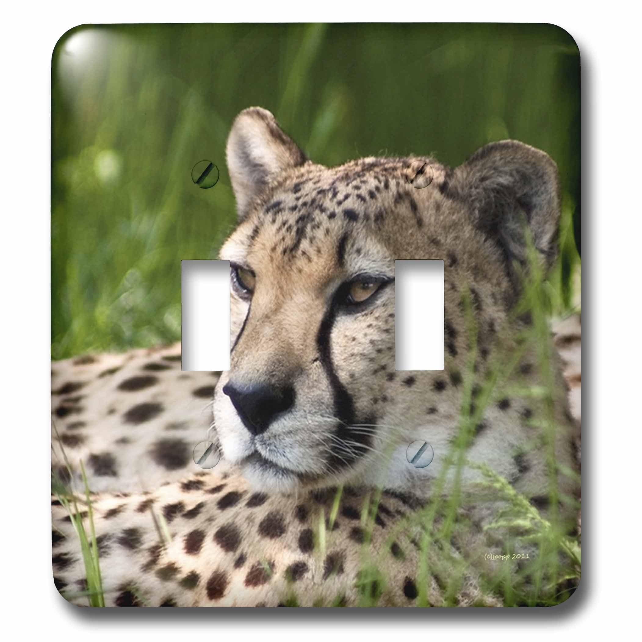 Interrupteur double guépard 3dRose Lsp_22235_2 pour remplacer une plaque unie