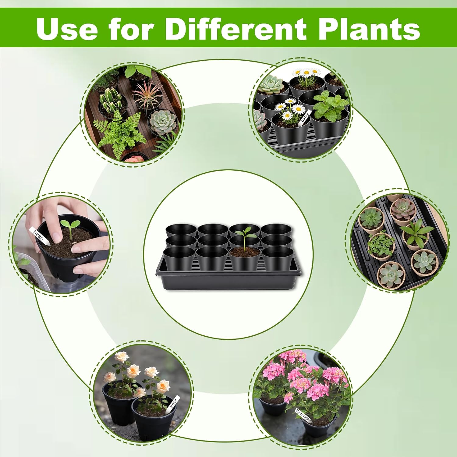 Dualshine Seed Starter Tray Kit - 60-Pack 3.4 Inch Round Nursery Pots with Drainage Holes, 5 Seedling Trays, 100 Plant Labels & 2 Transplanting Tools for Vegetables, Flowers, Herbs Seed Starting