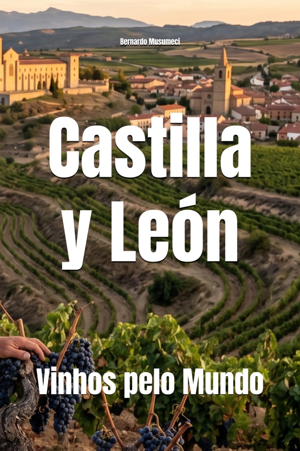 Castilla y León: Vinhos pelo Mundo (Wines of the World: Spain)