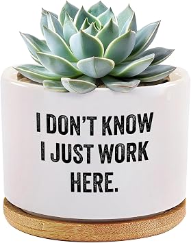 I Dont Know I Just Work Here Ceramic Succulent Plant Pot with Bamboo Tray Round Sarcastic Gifts for Coworkers Officemates Office Gifts Home Office Decor Plant Lover 3.5 Inch White No Plants