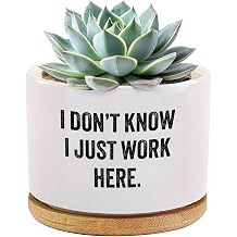I Dont Know I Just Work Here Ceramic Succulent Plant Pot with Bamboo Tray Round Sarcastic Gifts for Coworkers Officemates Office Gifts Home Office Decor Plant Lover 3.5 Inch White No Plants