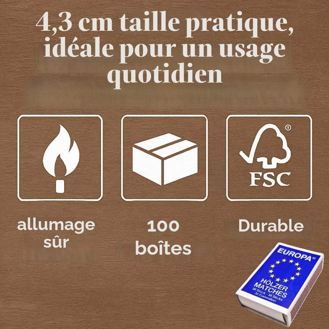 Allumettes EUROPA 100 boîtes, 10 x 10, bois d'europe, allumettes de sécurité