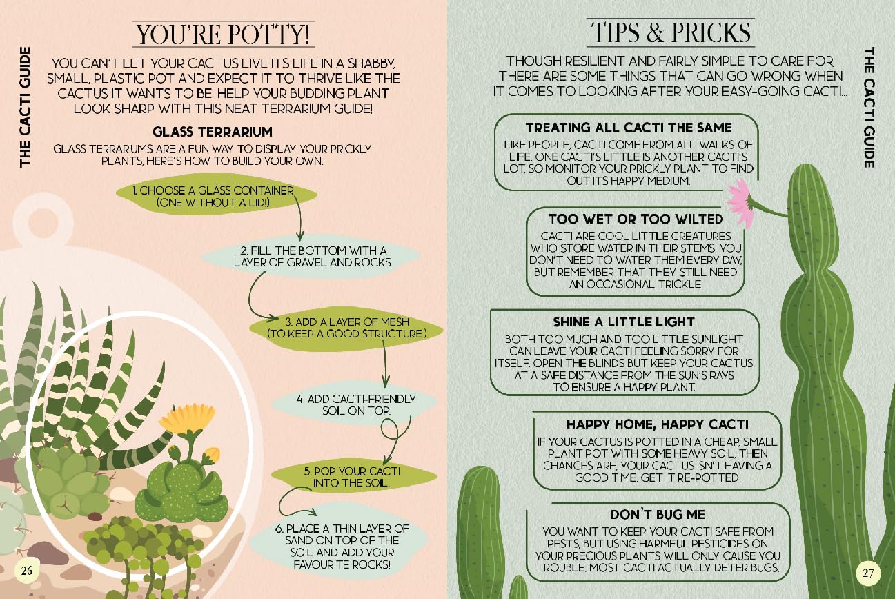 Houseplant Survival Guide - Tips and Tricks for Keeping Your Plants Alive