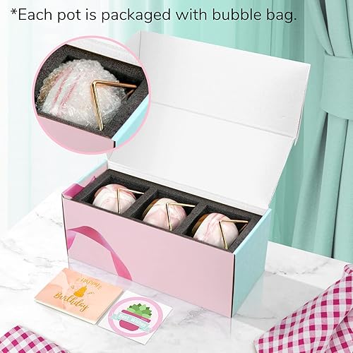 Miniatura 3 de Vmini Regalos de cumpleaños número 40 para mujeres macetas para suculentas macetas pequeñas para interiores macetas de jardín regalos únicos y