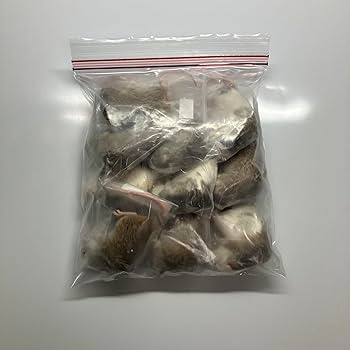 Amazon | 冷凍マウス 45g~50g 10匹 ヤワゲネズミ きなこむぎショップ