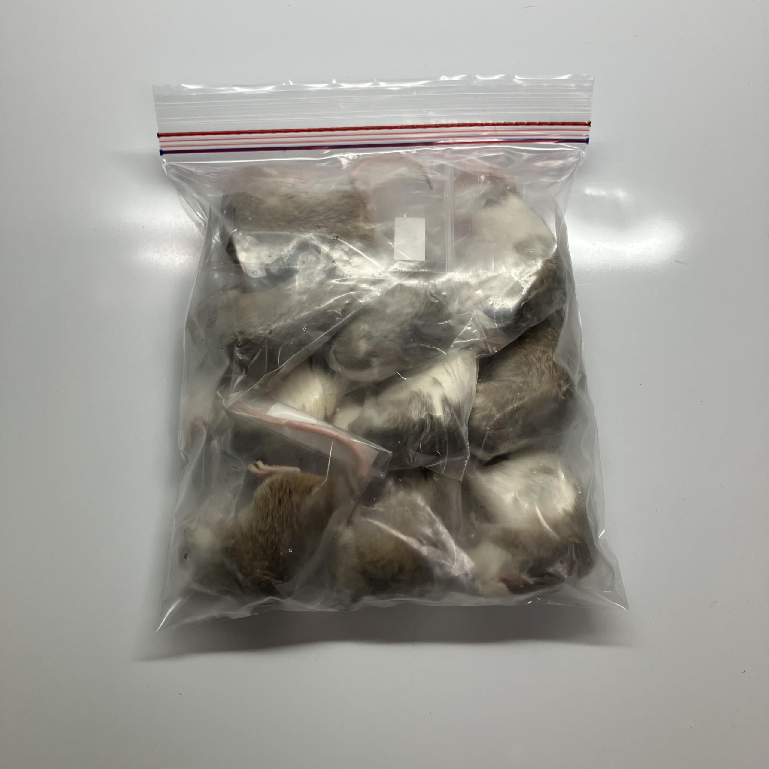 Amazon | 冷凍マウス 45g~50g 10匹 ヤワゲネズミ きなこむぎショップ
