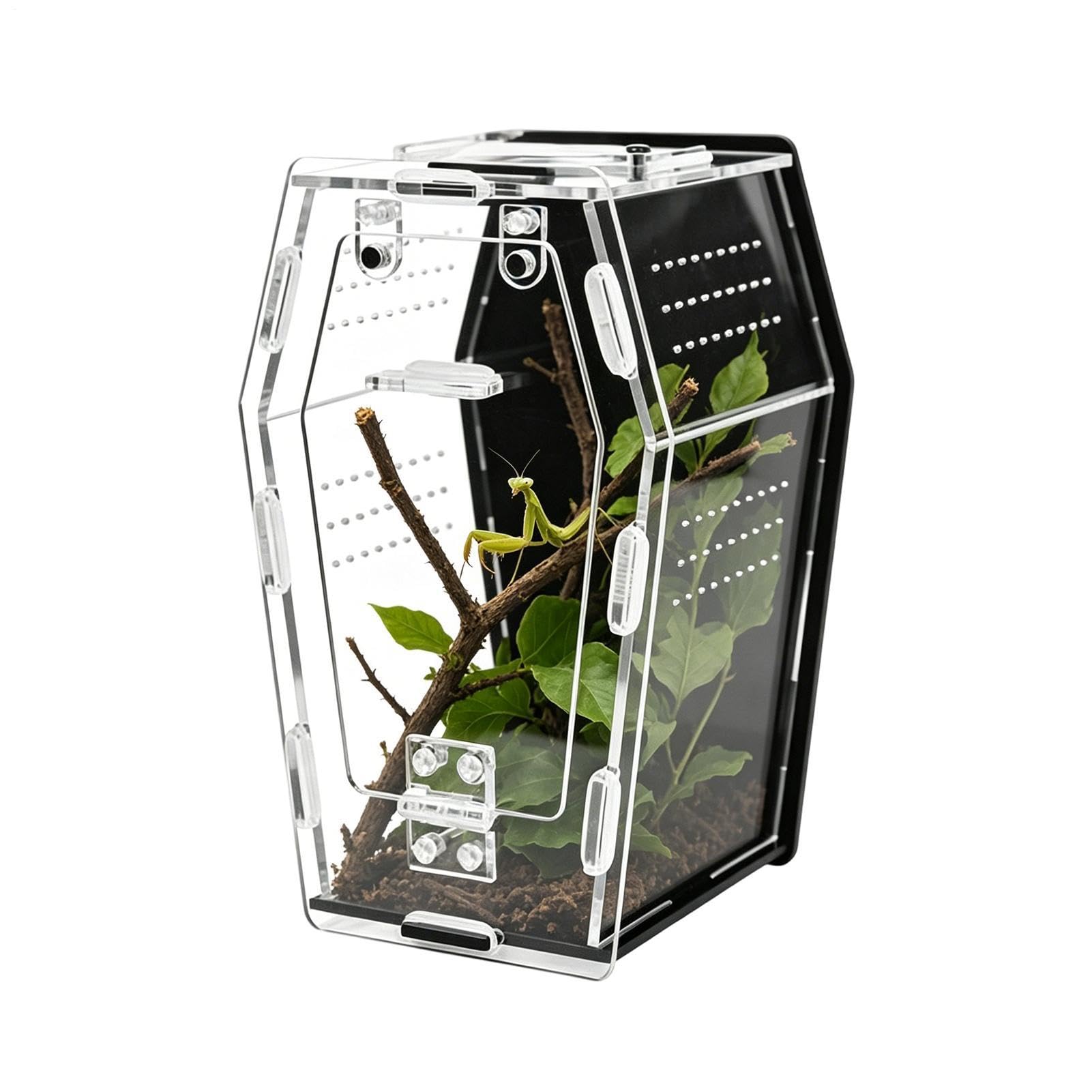 Snail Terrarium - Clear Acrylic Small Terrarium - Hermit Crab Tank - for Pet Lizard Turtle Amphibians Spiders Rhinoceros Beetles Home Play Zoo Viewing