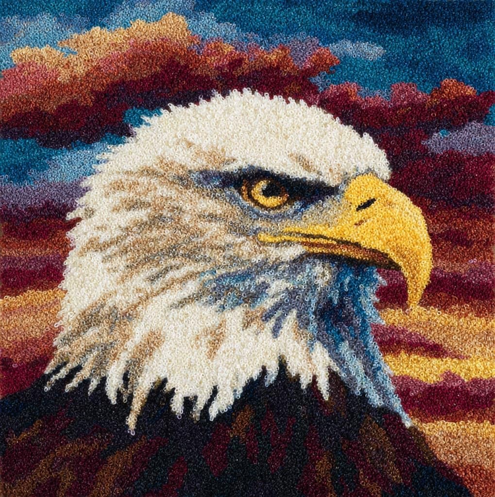 WallustrioaW DIY Rug Cushion kit,Bald Eagle,Beginner Latch Hook kit - Therapeutic Craft for Adults - Pre-gridded Latch Canvas - Mothers Day Handmade Gift,17x17in