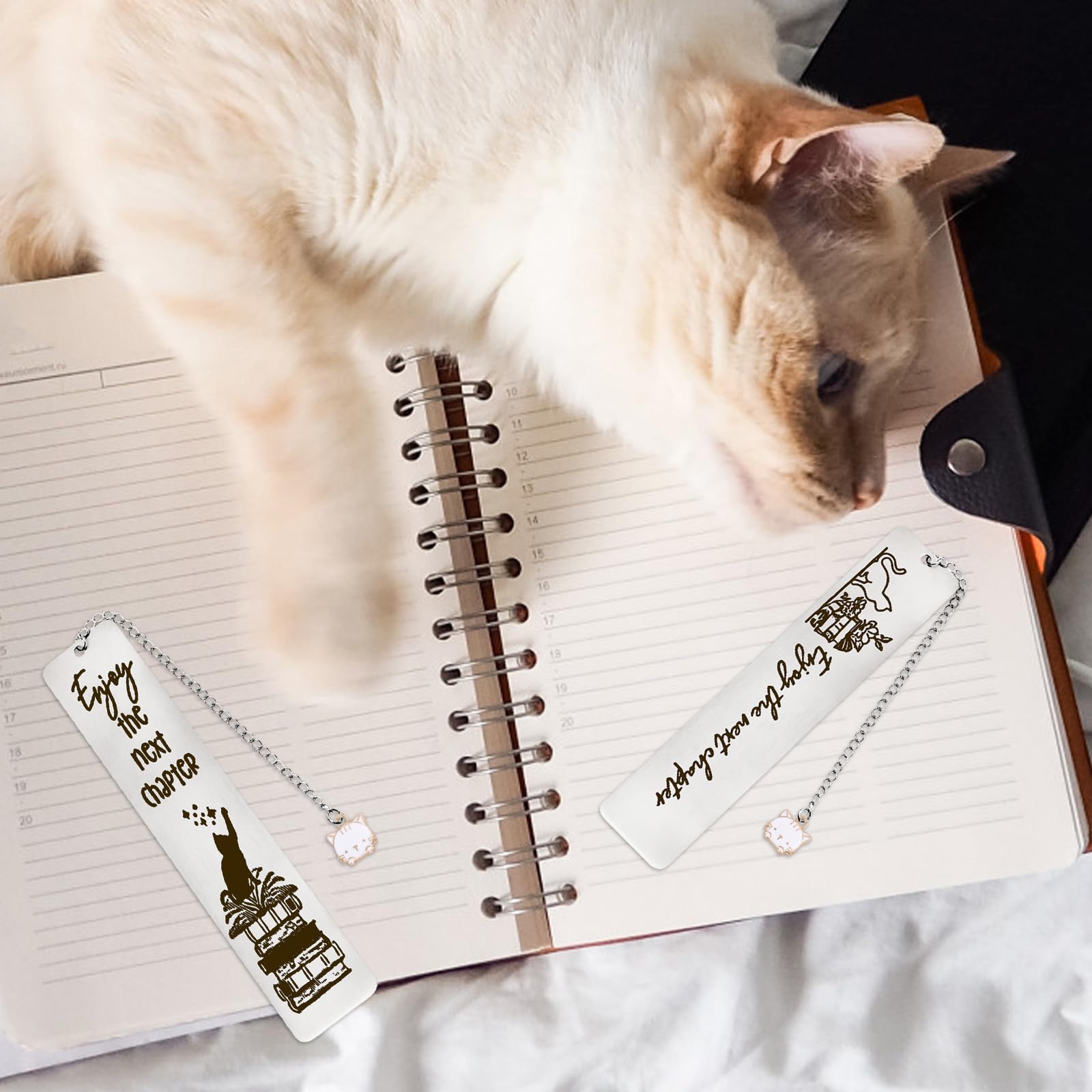 Marcapáginas De Gato, Marcapaginas Acero Inoxidable Con Caja De Regalo Marcapáginas Regalo Con Dije De Libro Regalos Para Amantes De Los Gatos Para Mujeres Hombres Amantes De La Lectura