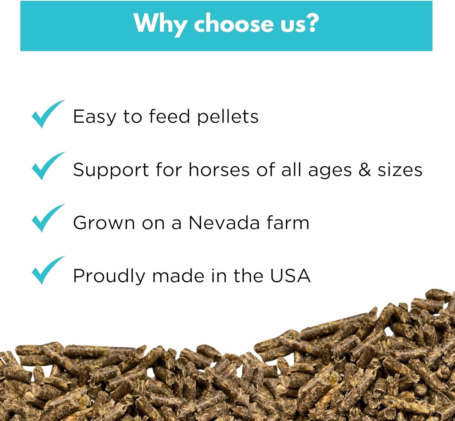 Everyday Wellness Hemp Pellets for Horses (2.5 lbs) w/Apple Cinnamon Flavor - Calming - Healthy Joints & Mobility - Allergies - Equine Care - 62 Day Supply (Twice/Day)