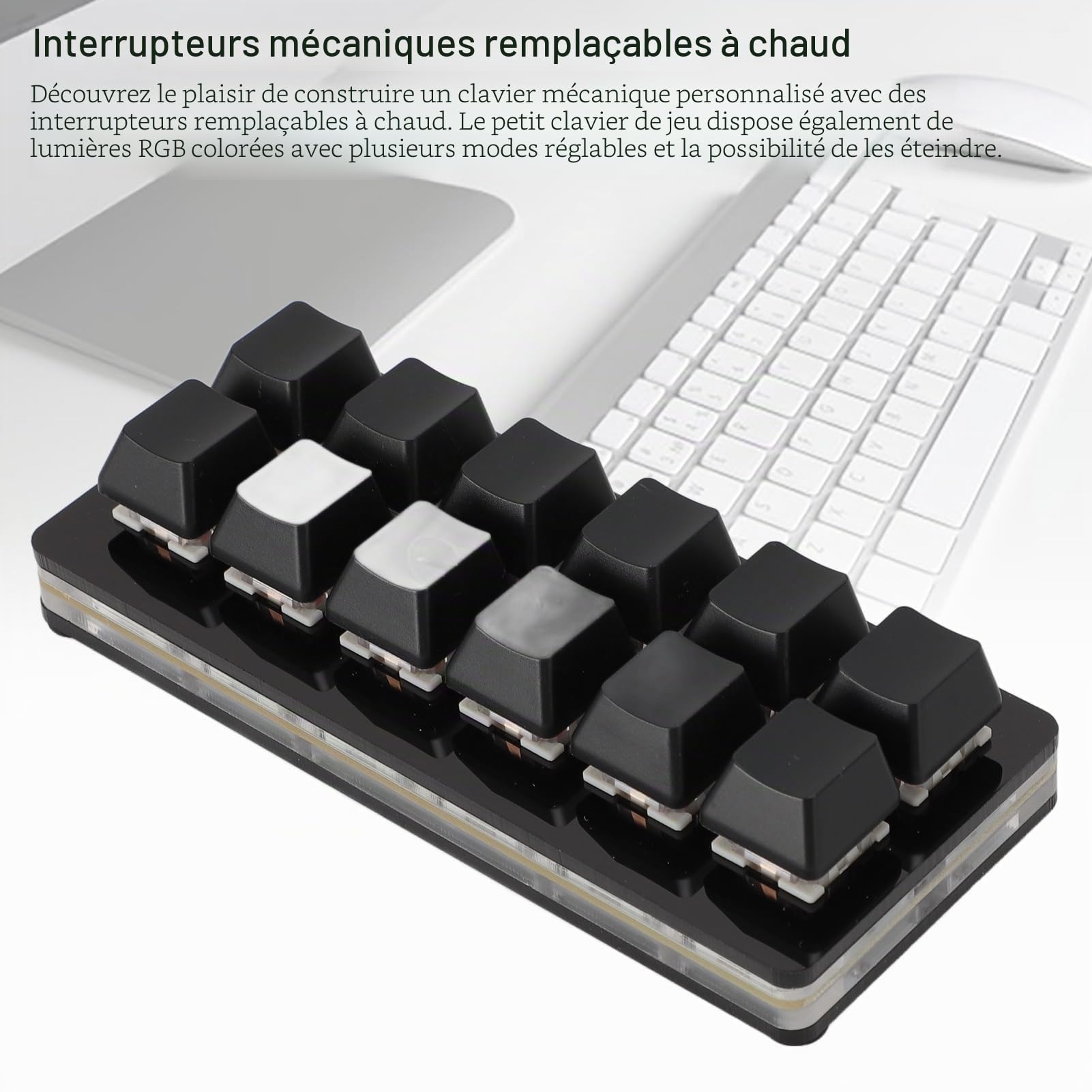 Dpofirs Clavier de Jeu Mécanique à 12 Touches, Claviers de Jeu PC RVB, Clavier Mécanique à Une Main, Clavier Filaire, Clavier Programmable et échangeable à Chaud (Black)