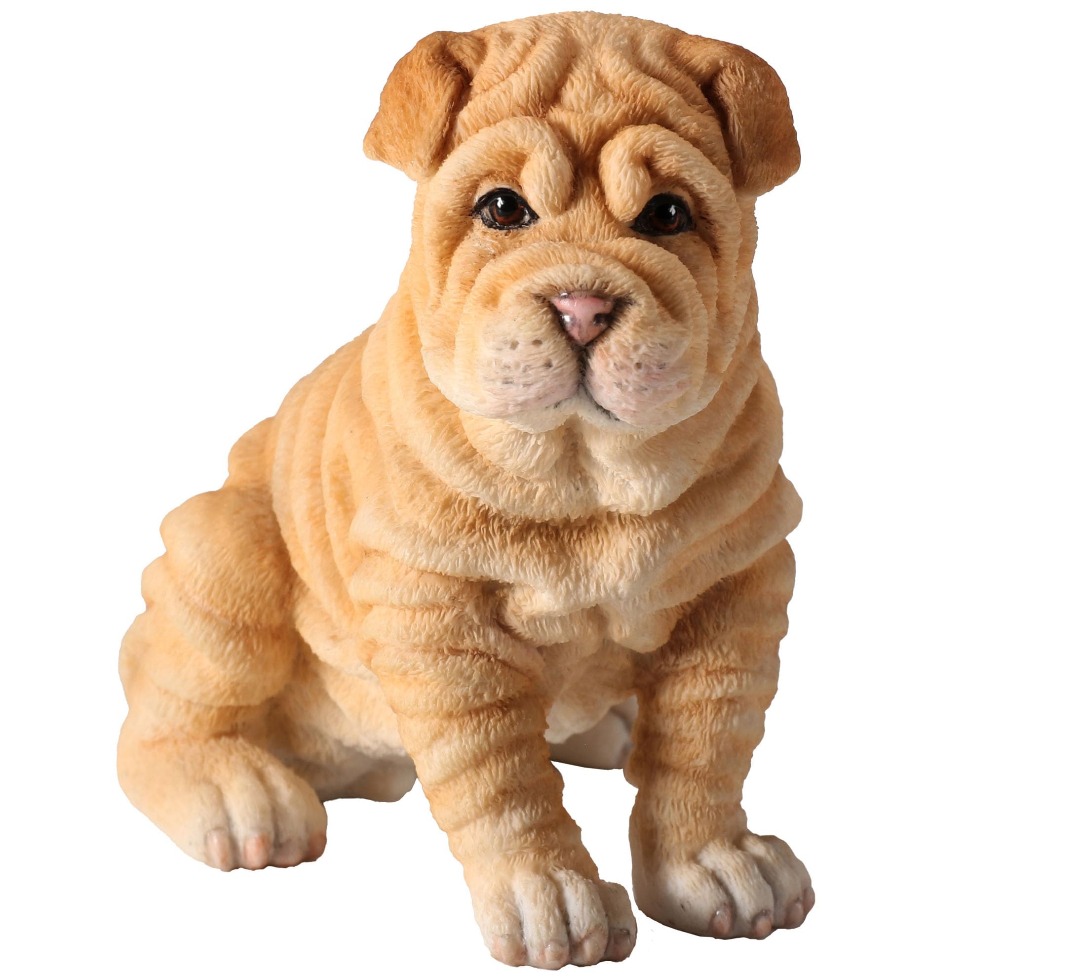 Amazon.com: Veronese Design 3 3/8 Inch Shar Pei Dog Puppy Sitting
