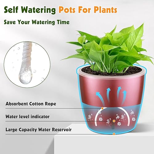 Miniatura 2 de Paquete de 6 macetas de riego automático de 5 pulgadas para plantas de interior con indicador, maceta de orquídeas con mecha transparente para