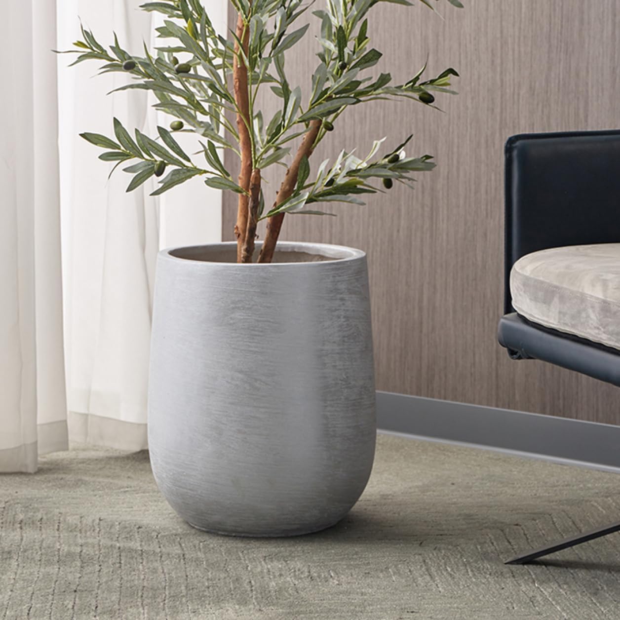 アガベ パリー ホーチエンシス 吉祥天 実生 ドライガーデン 大株 アガベ パリー ホーチエンシス 吉祥天 実生 ドライガーデン 大株