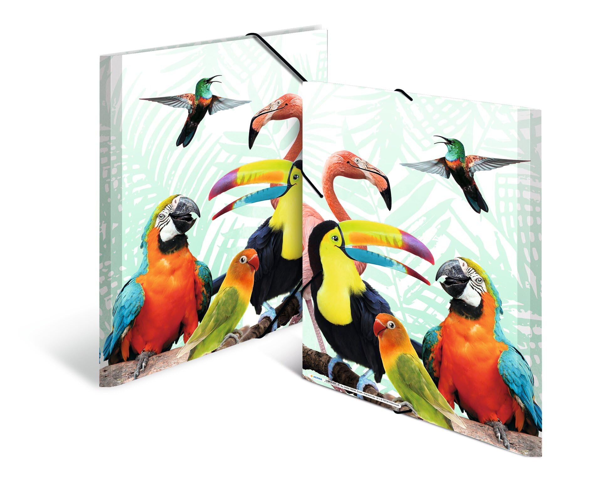 HERMA Collector's Folders A3 Parrot Set, 3 Pieces, Children's Plastic Corner Folder with Animal Motif, Elastic Band - Image 4