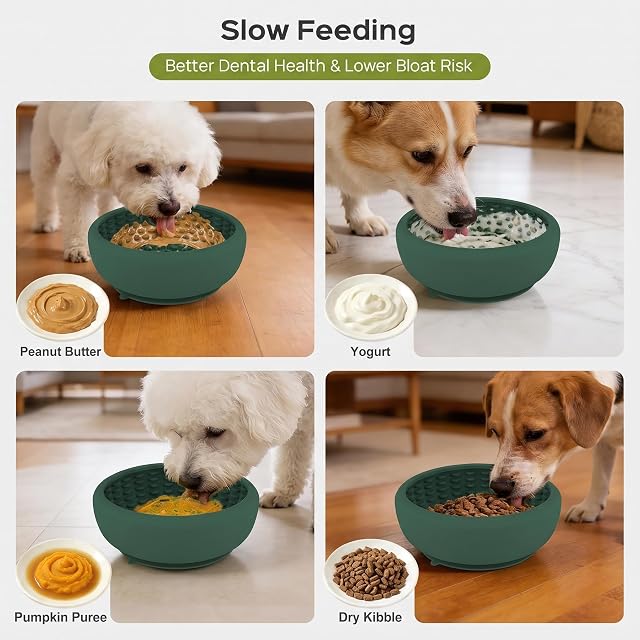 Foto 4 de 7 de Comedero para perros con ventosa