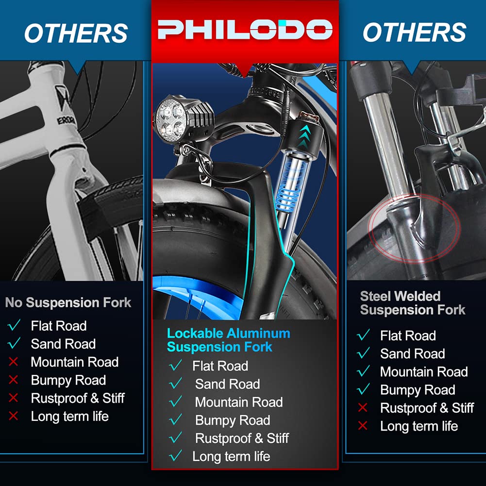 PHILODO 公道走行OK！29インチ48V13A1000W 【公式通販】