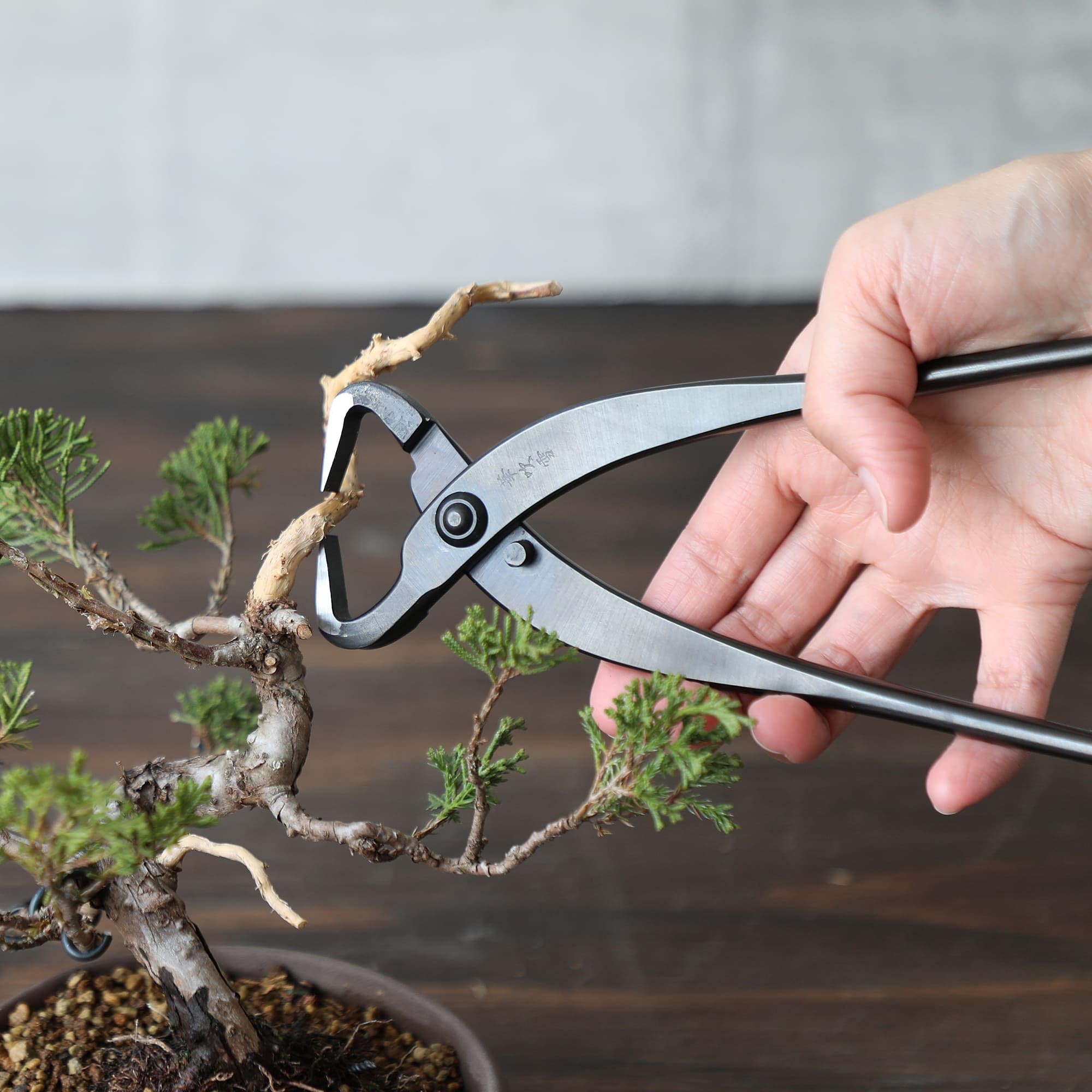 Wazakura Bonsai szczypce do rozłupywania pnia, wyprodukowane w Japonii