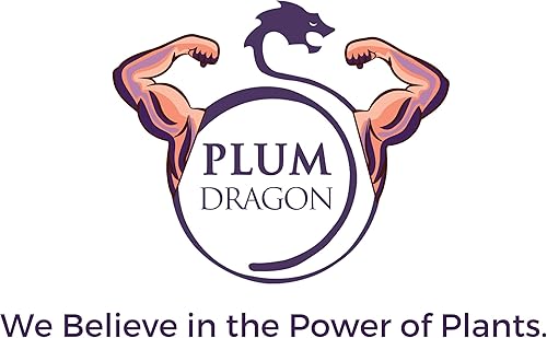 Miniatura 3 de Raíz de regaliz de dragón de ciruela, hierba china tradicional Gan Cao - Mulethi en rodajas - 1 libra