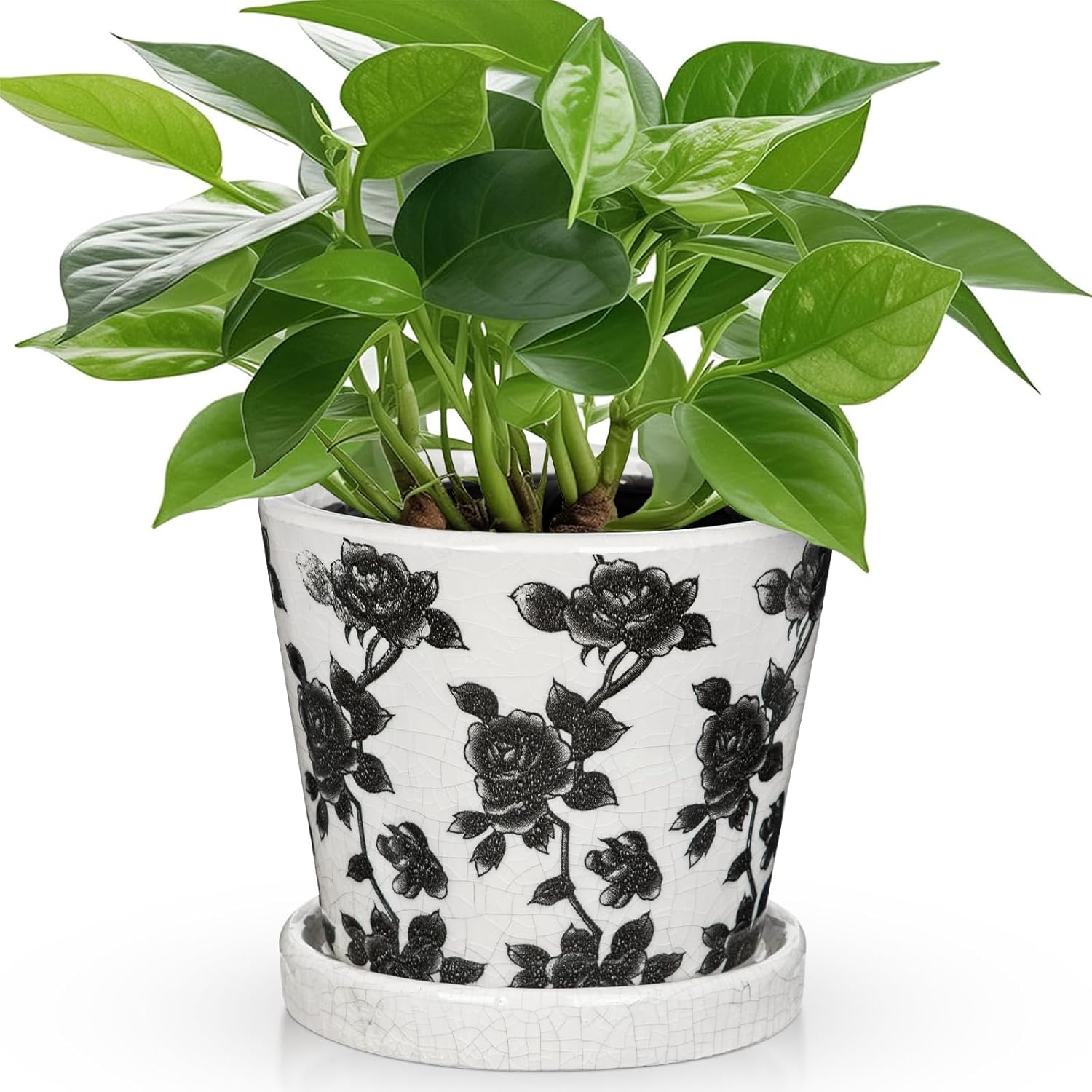 Ceramic Pot for Indoor Plants - 5.5 inch Flower Pot for Plants with Drainage Holes and Saucer Ice Crack Diamond Rose Flower Pattern Ceramic Planter for Outdoor Indoor Herb Snake Plant (Black & White)