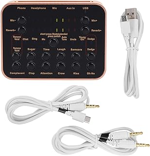 Gedourain Computer Sound Card, Multiple Sound Effects and Effects Sound Card with Intelligent Tuning Multiple Sound Effects for Better Singing and Live Broadcast Effects