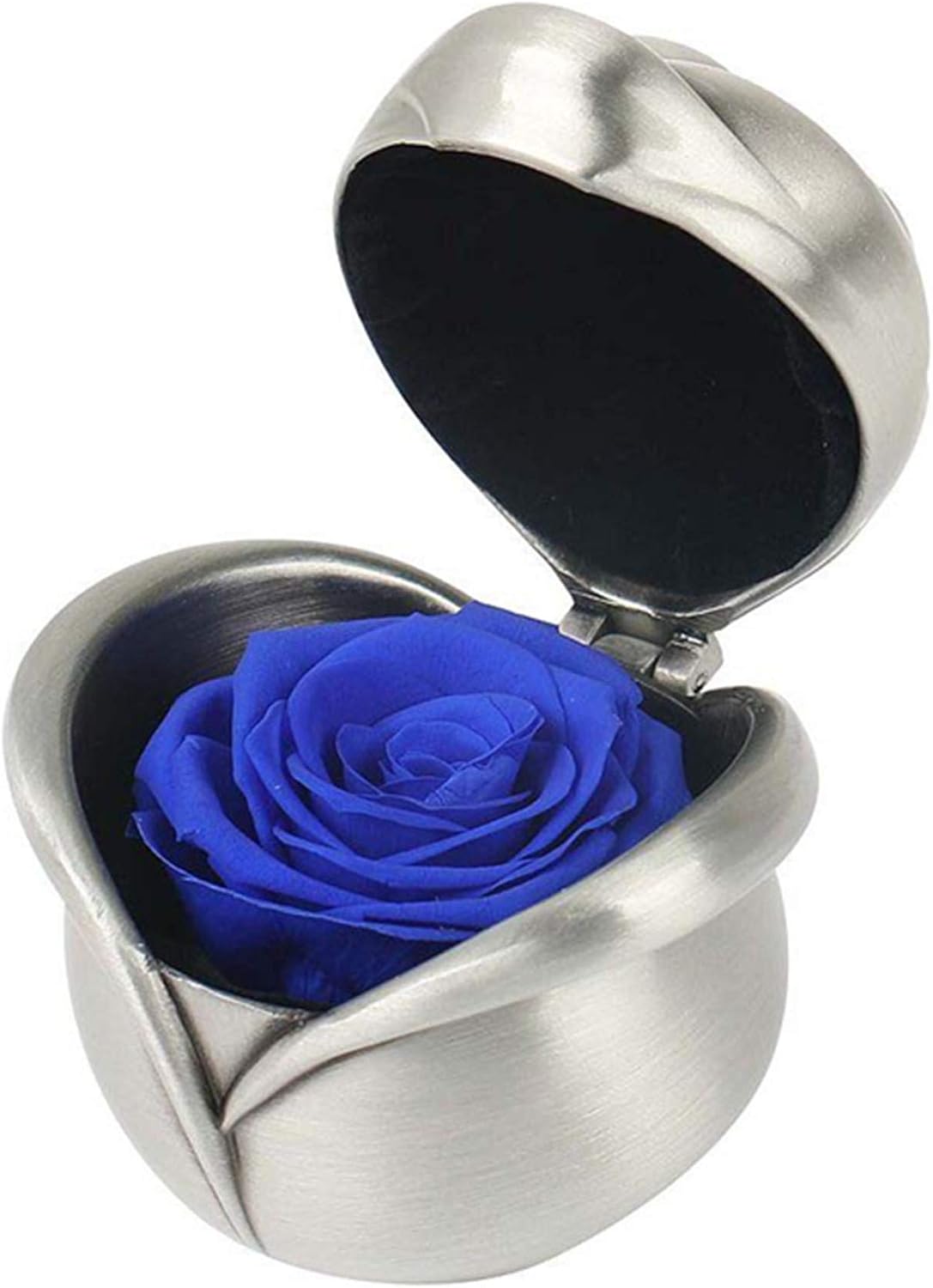 SDFGHG Best Gifts for Valentine's Day, Preserved Flower Rose, Upscale Immortal Flowers, Gifts for Women, Mother's Day, Valentine's Day, Anniversary, Birthday, Flower, Roses, Love