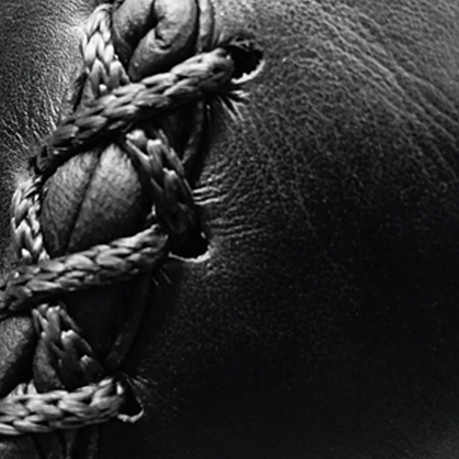 Valor Fitness CA-12 Speed Bag