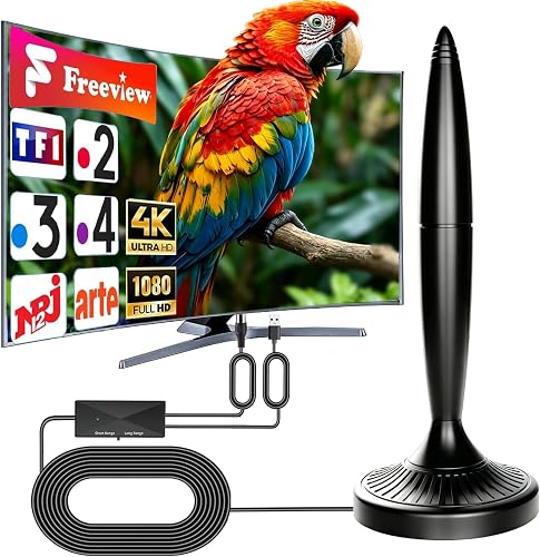 Interieur TNT Puissante Antenne