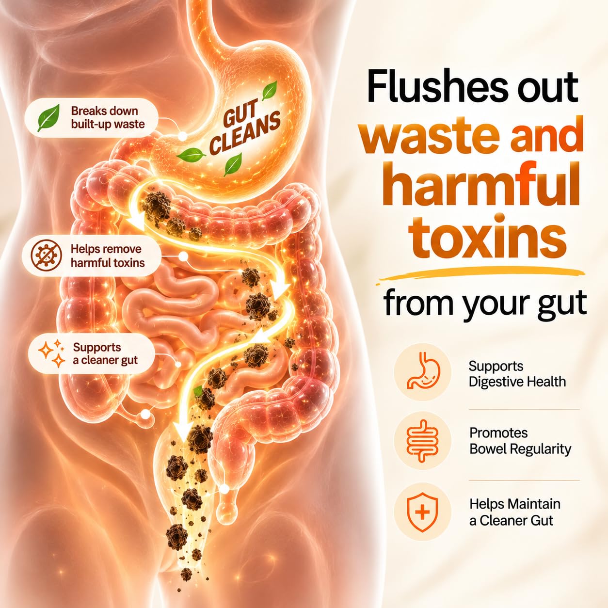 Gut Health Supplements Gummies | Probiotics + Prebiotics Gummies | B. Coagulans & FOS | Gut Health Supplements for Digestion, Bloating & Constipation Relief | Probiotics + Prebiotics with Triphala & Amla (Pack of 1) — Amazon image 2