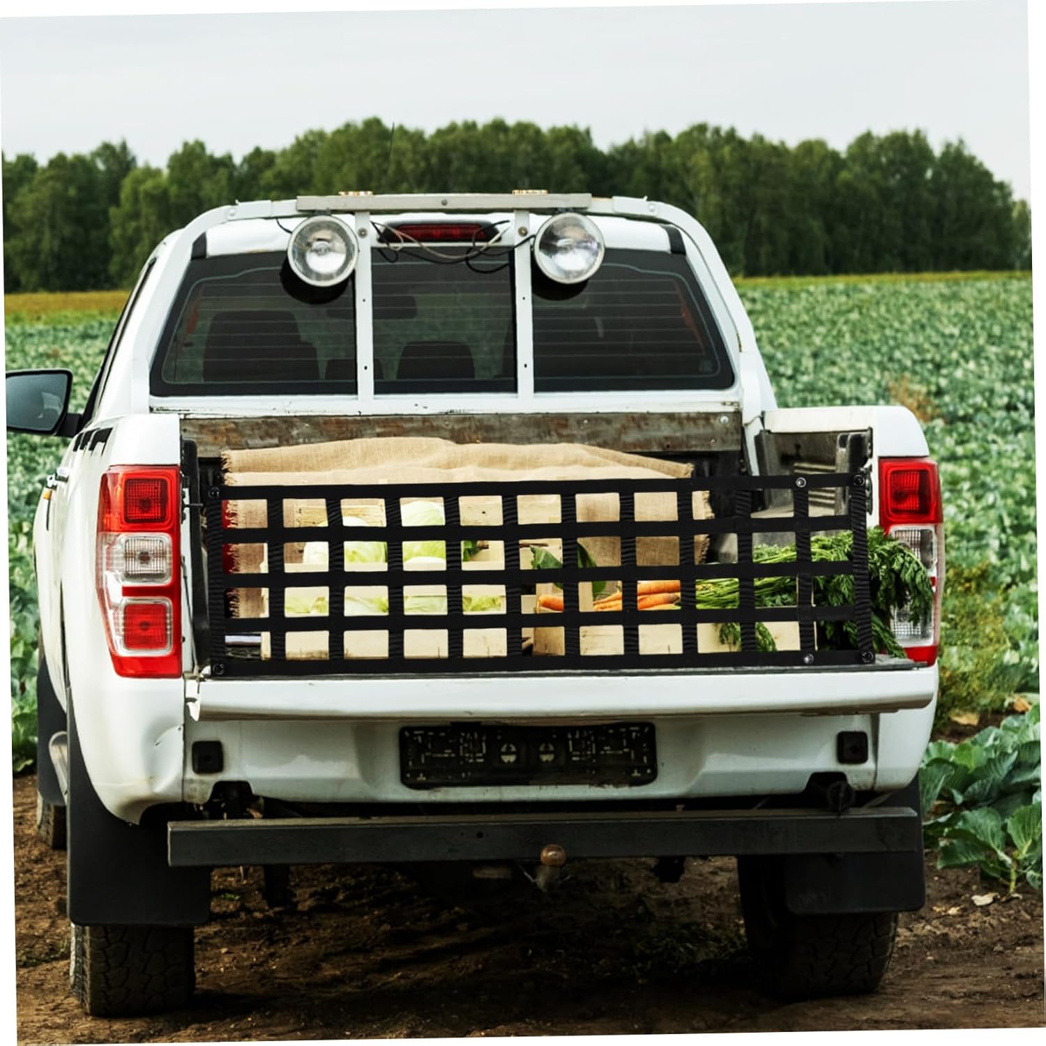 ABOOFAN Truck Bed Storage System Automotive Cargo Nets Secure Your Load Carabiner Included