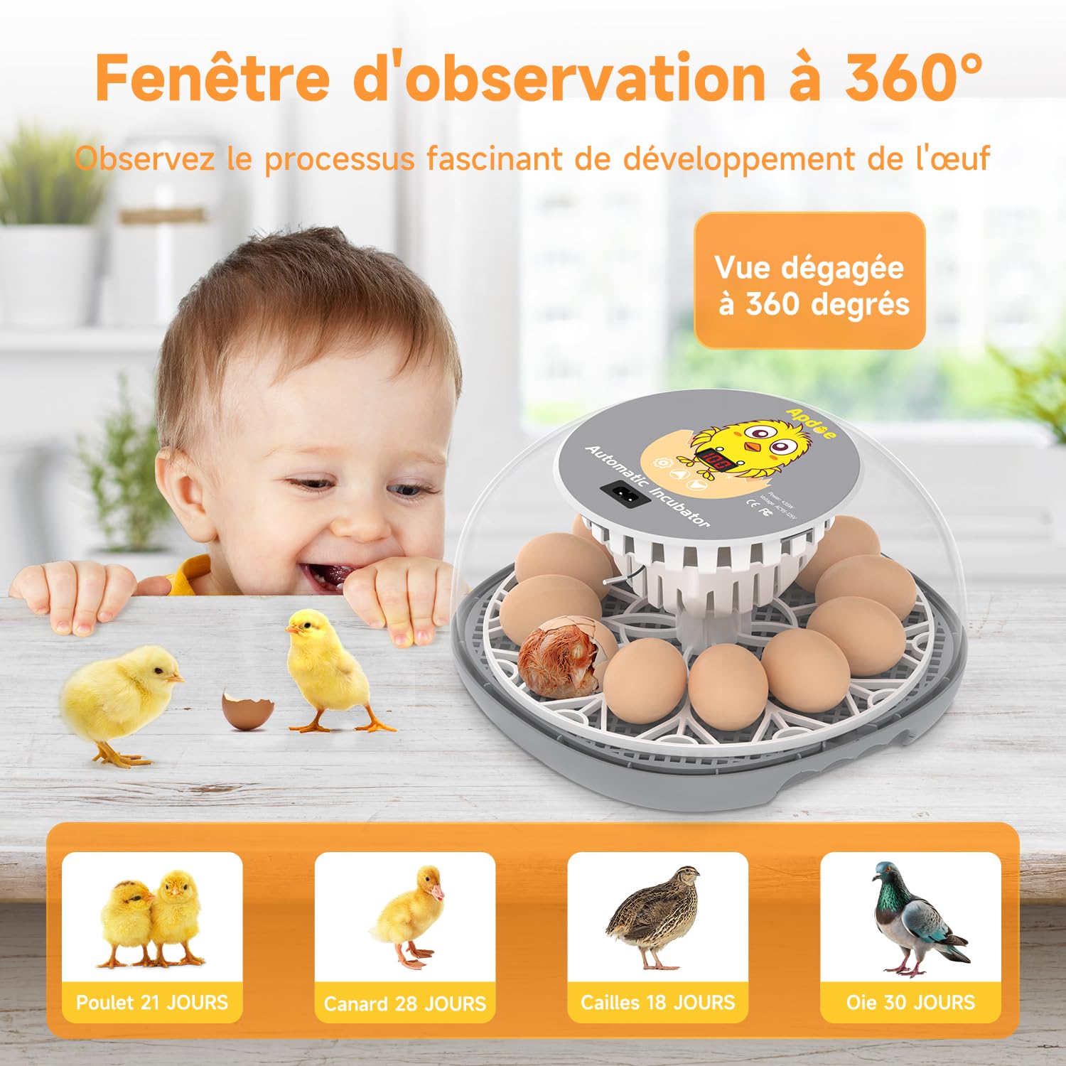 Couveuse Automatique Apdoe 12 Oeufs - Rotation, Contrôle Température Et Humidité Pour Poules, Cailles, Canards