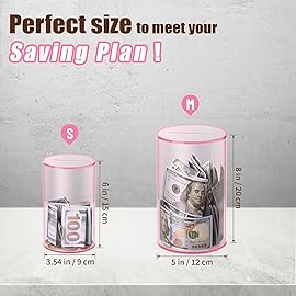 Hicocool Clear Piggy Bank for Adults Kids Must Break to Open, Pink Acrylic Piggy Bank Unopenable Money Savings Jar (6 H x 3.54 D)