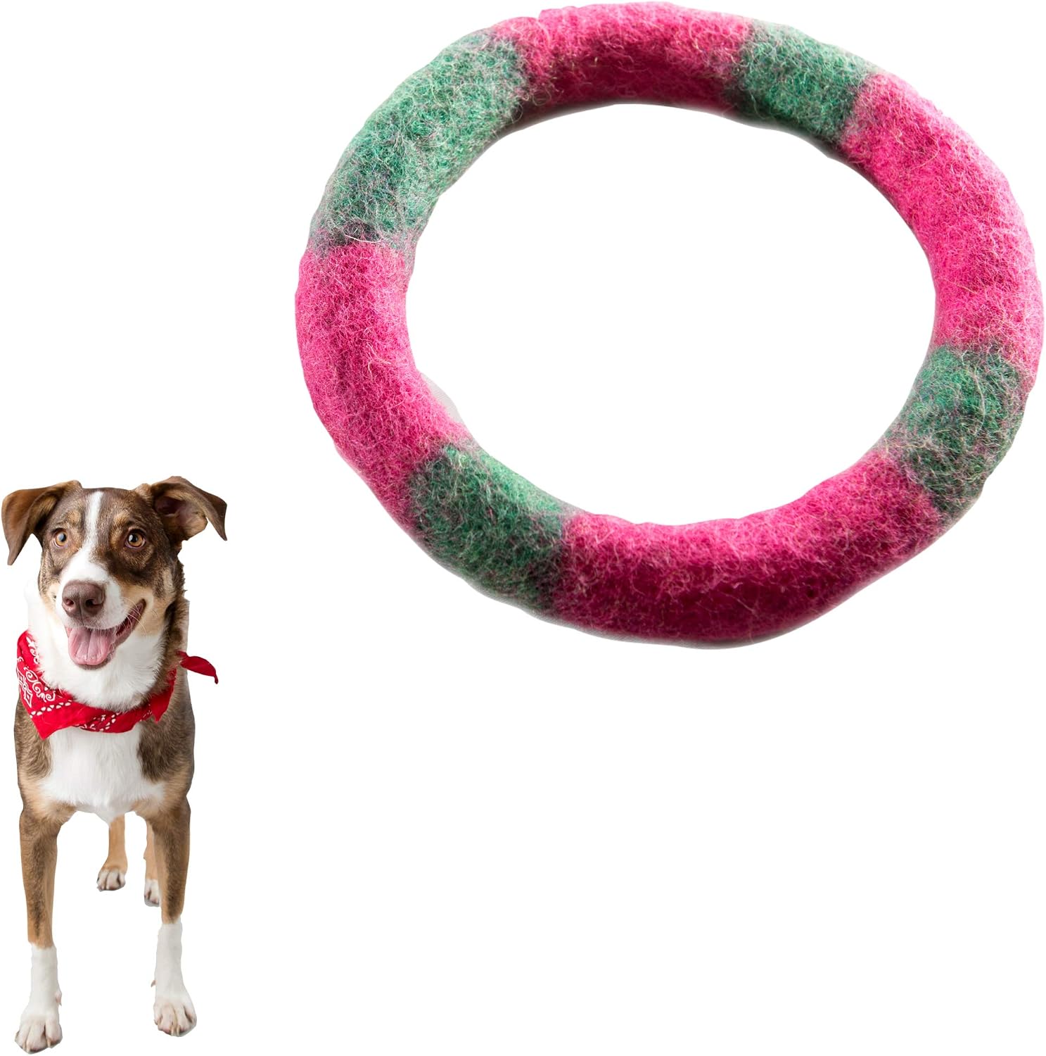 Le Sharma Eco-Ring, Handmade 100% Wool, Eco-Friendly, Fun and Colorful Dog and Puppy Toy (Large 7", Green, Purple)