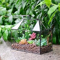 Vista 2 de Maceta grande de vidrio para casa de terrario – Invernadero de vidrio para plantas suculentas con tapa 9.8 x 7.9 x 5.9 pulgadas NA