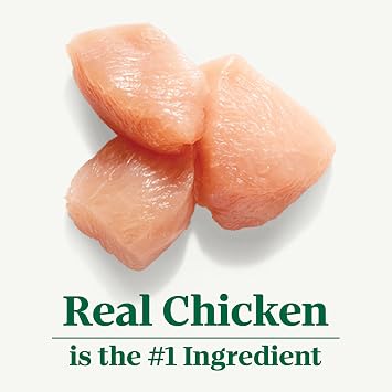 Nutro Pate Grain Free Wet Dog Food, Slow Cooked Chicken, 3.5 oz, 24 Count | Real chicken #1 ingredient, grain-free, made in USA, natural ingredients, no by-product meal/corn, wheat, soy, 3.5 oz trays
