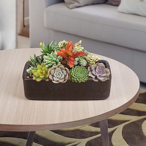 Miniatura 5 de Thirtypot Maceta rectangular para suculentas de 10 pulgadas con orificio de drenaje, macetas de cerámica esmaltada verde para interiores y exteriores