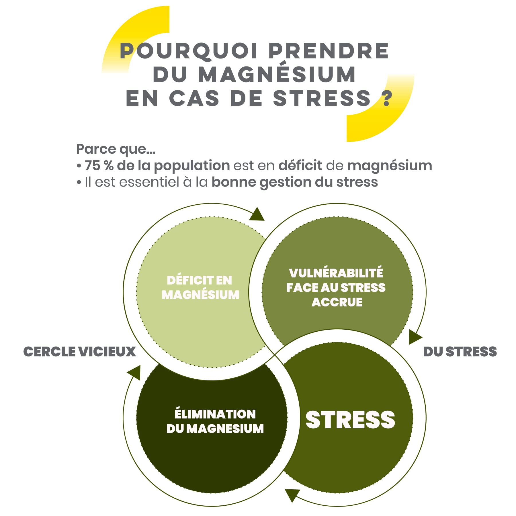 D-STRESS COMPRIMÉS 80 comprimés | Magnésium de 3ème Génération + Taurine + Arginine + Vitamines B | Gère le Stress du Quotidien et Réduit la Fatigue | LABORATOIRE SYNERGIA