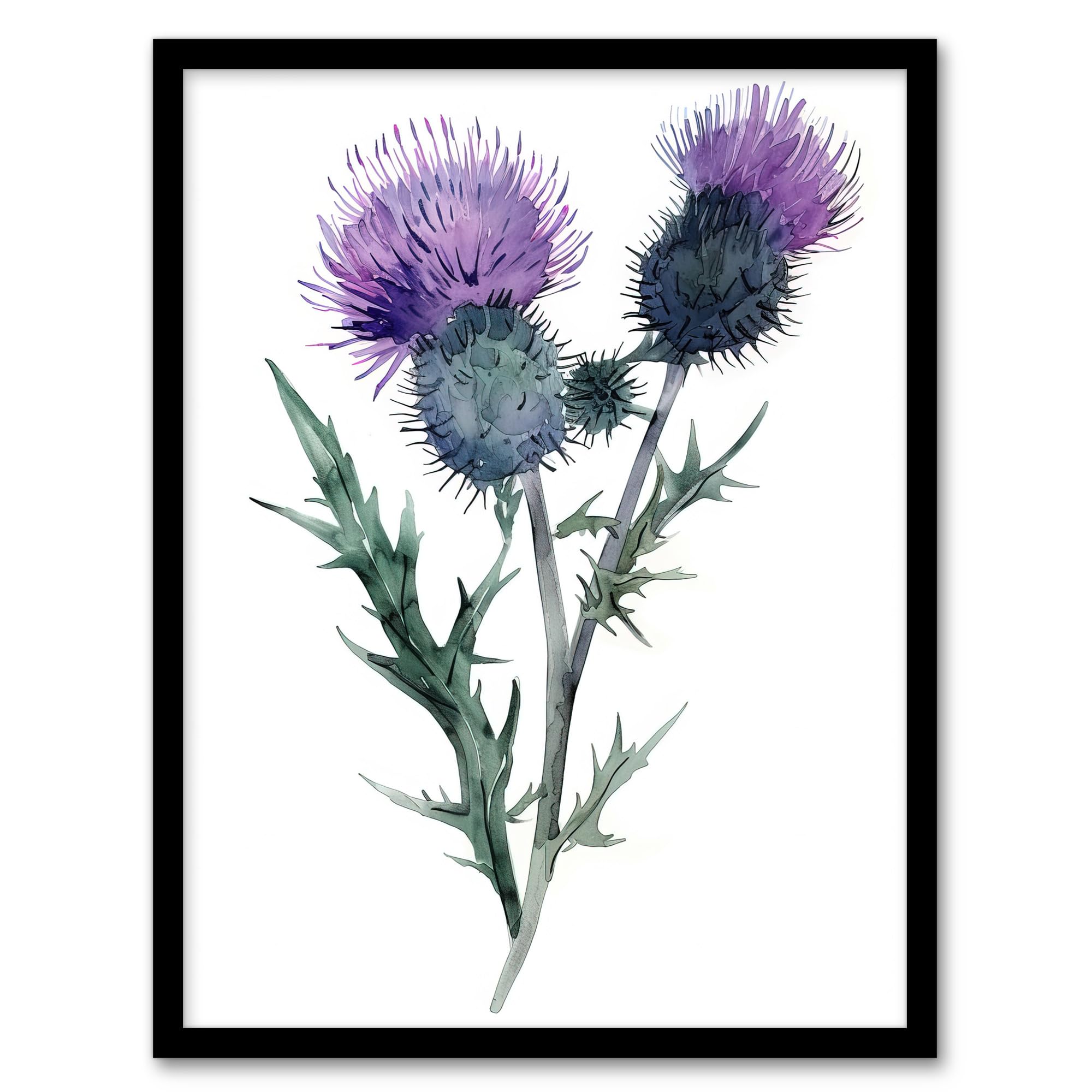 Artery8 Watercolour Scottish Thistle Flower Blooms Framed Art Print - W12 inch x H16 inch - Purple