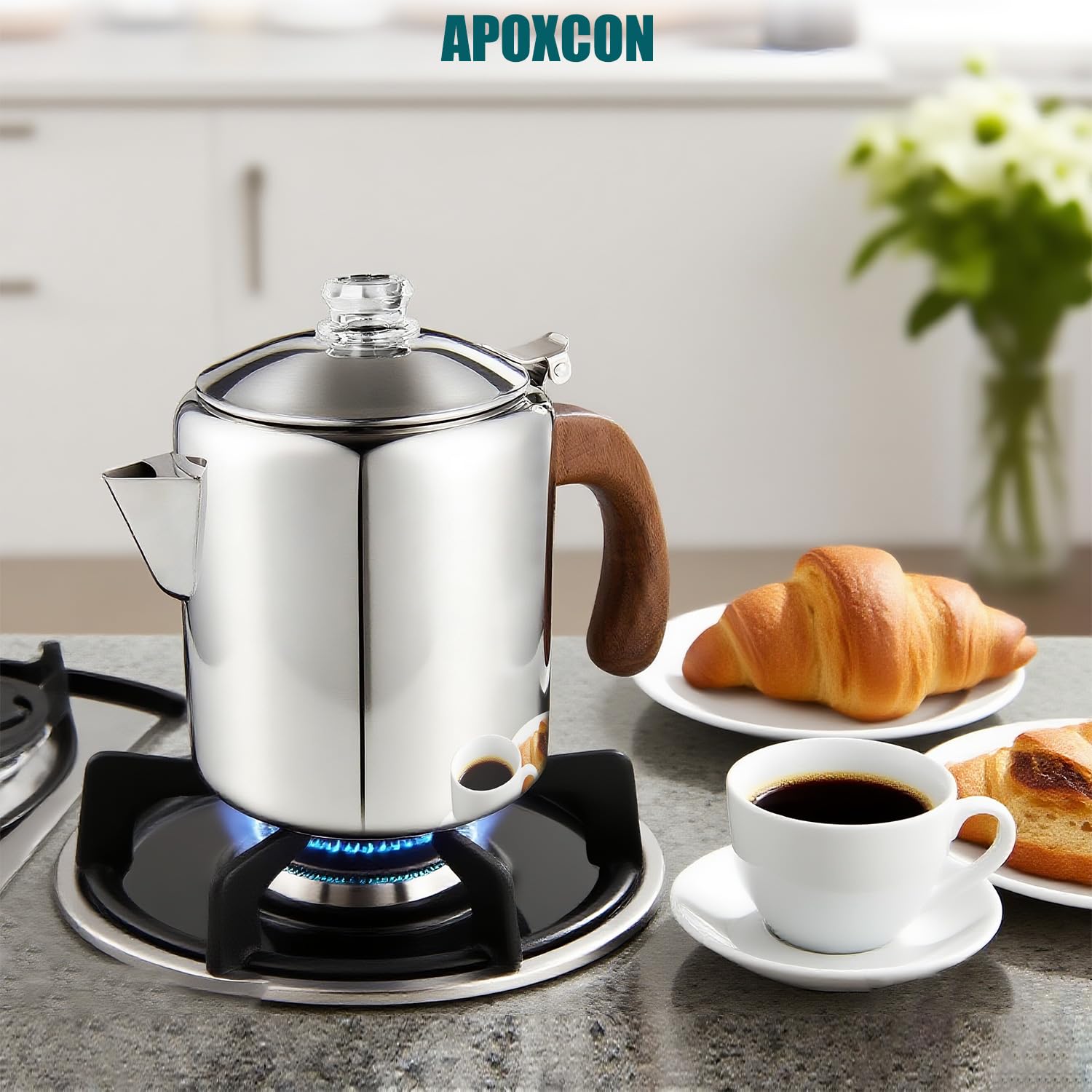 APOXCON Percolateur à café en acier inoxydable avec poignée en bois massif ignifuge et bouton de progression en verre transparent résistant pour le camping, utilisation sur n'importe quelle cuisinière