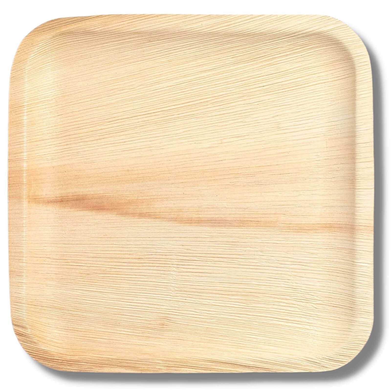Areca Palm Leaf Disposable Dinnerware Plates, Biodegradable and Compostable Dinner Plate, Extra Large Square 10 inch, 25-Pack (SQR-10in-25pcs)