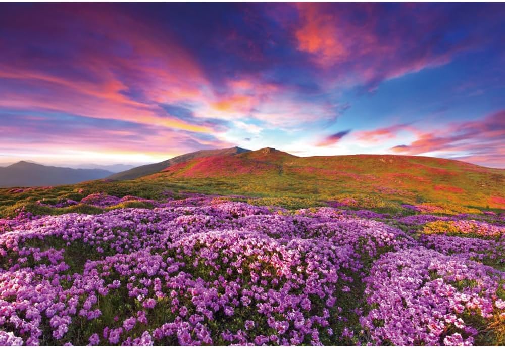 Amazon.com : Laeacco 7x5ft Spring Scenery Backdrop Blooming Purple ...