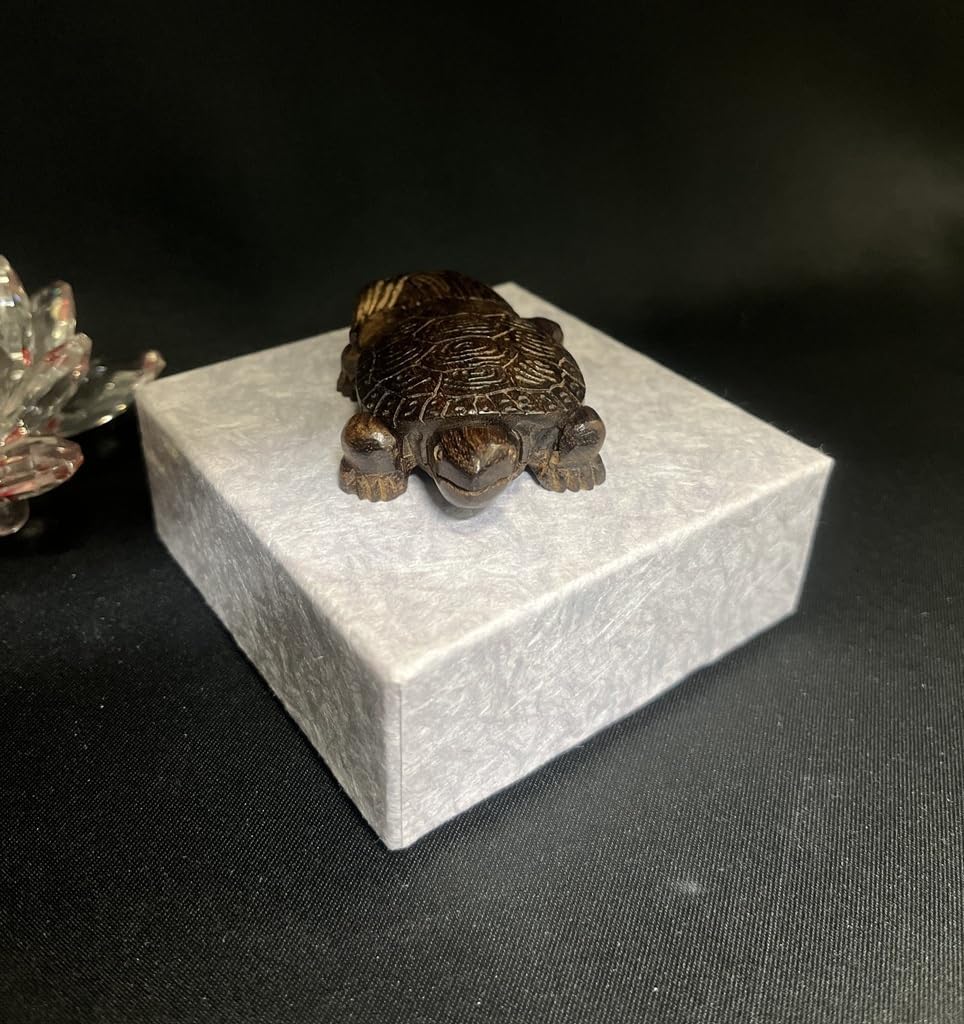 中国美術 彷古 五彩 藻草魚紋 蓋碗 乾隆款 五件 送料無料 五彩魚藻文壺