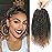 Passion Twist Crochet Hair,10 Inch 9 Packs Ombre Pretwisted Passion Twist Hair, Soft Pre Looped Crochet Hair For Women, Short Curly Crochet Twists Braids(10,T27)