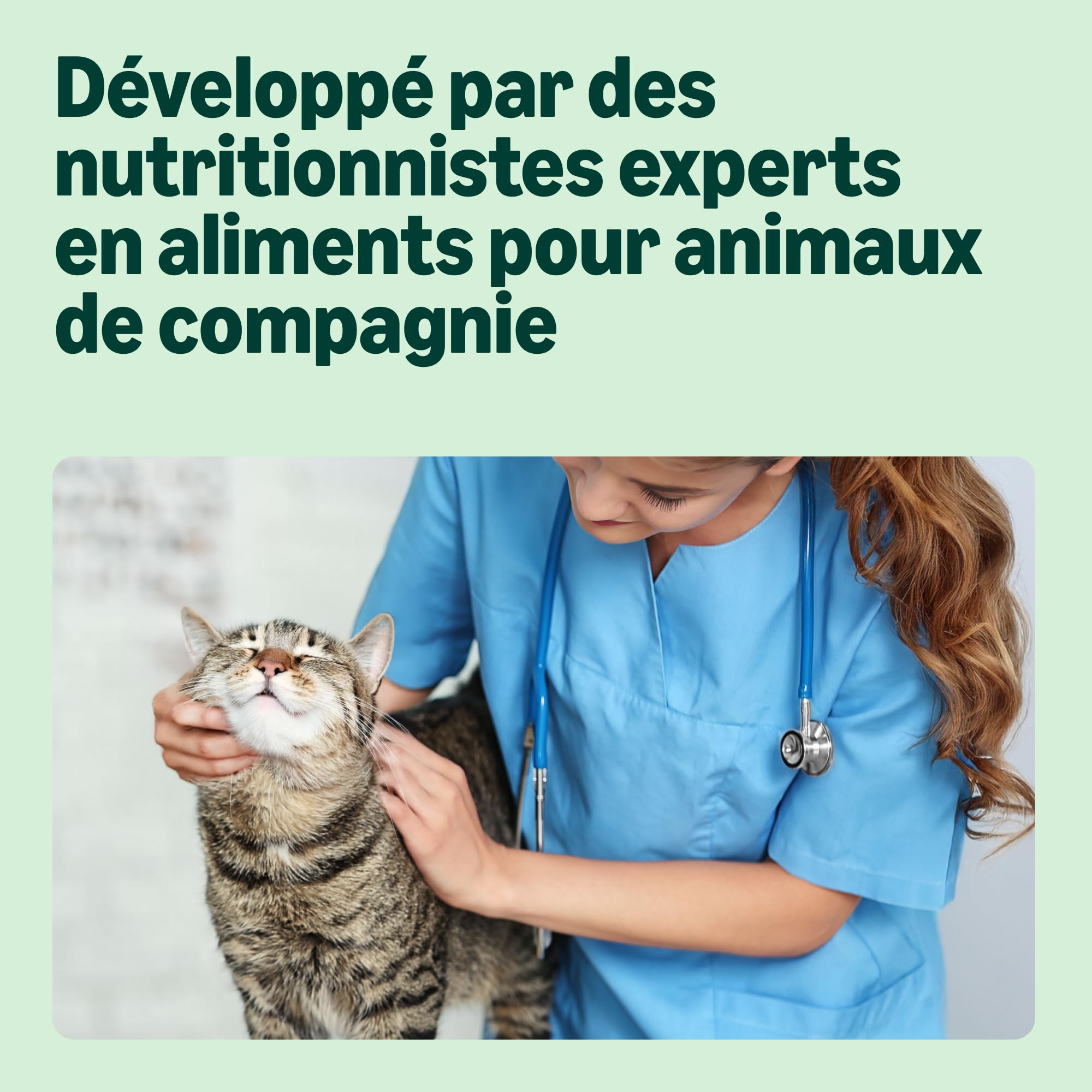 by Amazon Aliments Humides sans Céréales pour Chats, Selection de Viande en Gelée 4.76kg, 56 Lot de 85g (Anciennement Lifelong)