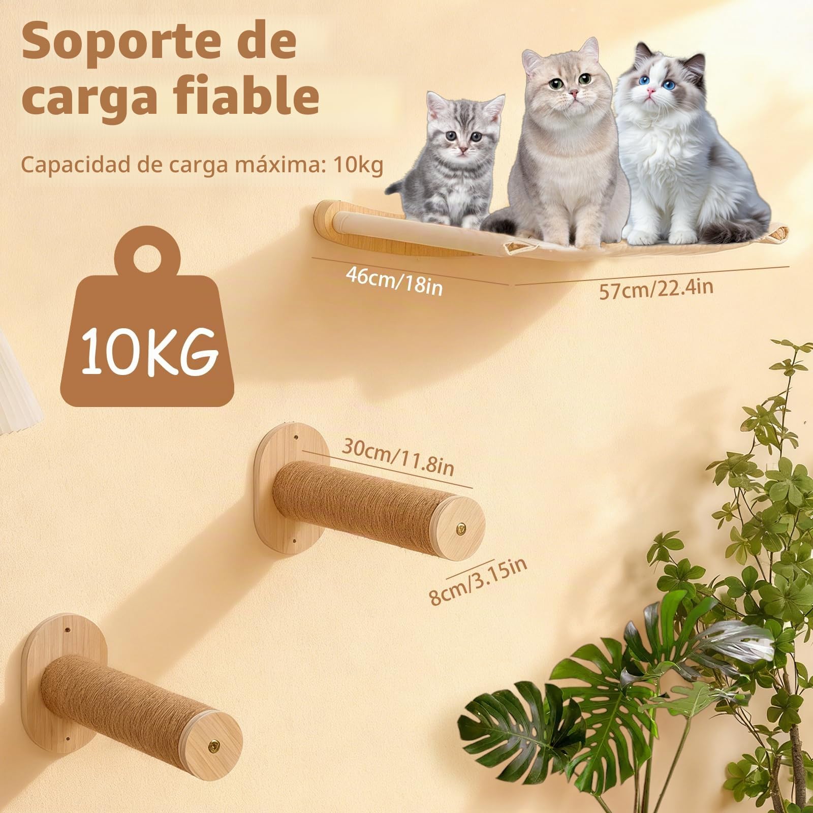 Pared de escalada para gatos, hamaca para gatos con 2 escaleras para gatos, hamaca de madera, muebles de pared para dormir, escalada y juegos