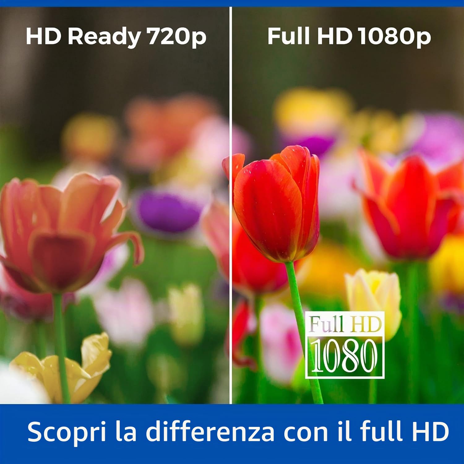 Cello M3220 32" Full HD LED Computermonitor HDMI VGA Flimmerfrei Anti Glare Reaktionszeit 6ms, Niedriges blaues Licht zum Schutz Ihrer Augen