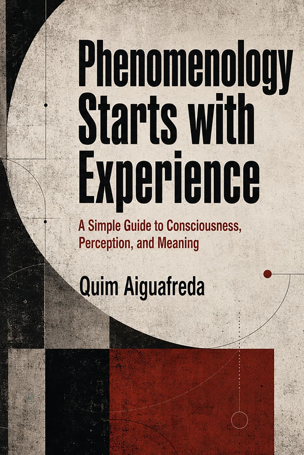 Phenomenology Starts with Experience: A Simple Guide to Consciousness, Perception, and Meaning