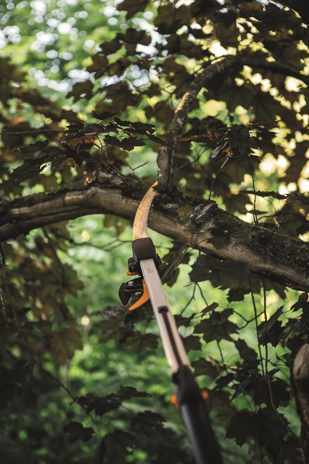 User using Fiskars UPX86 pruner for high branches