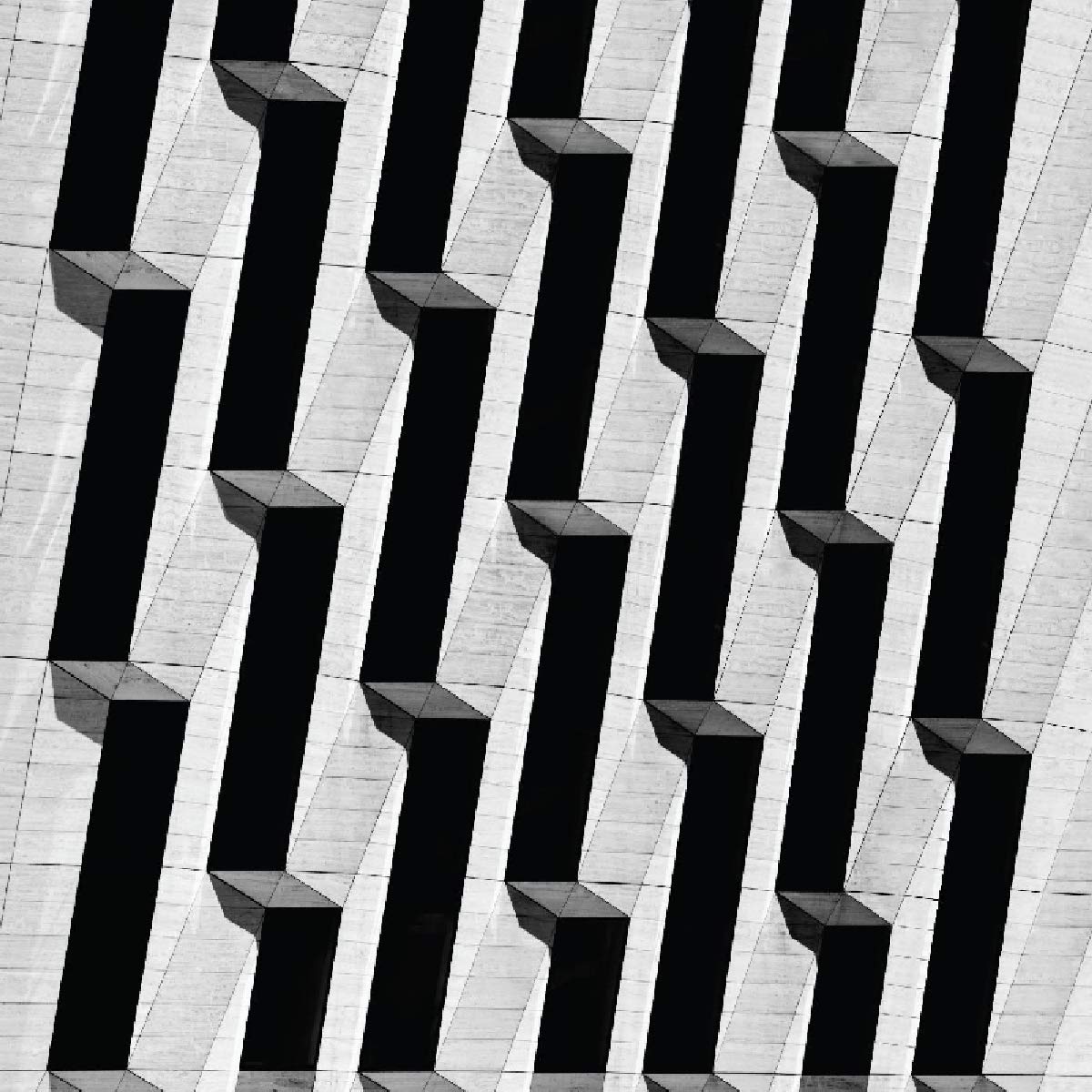 Everything Ascending [VINYL]